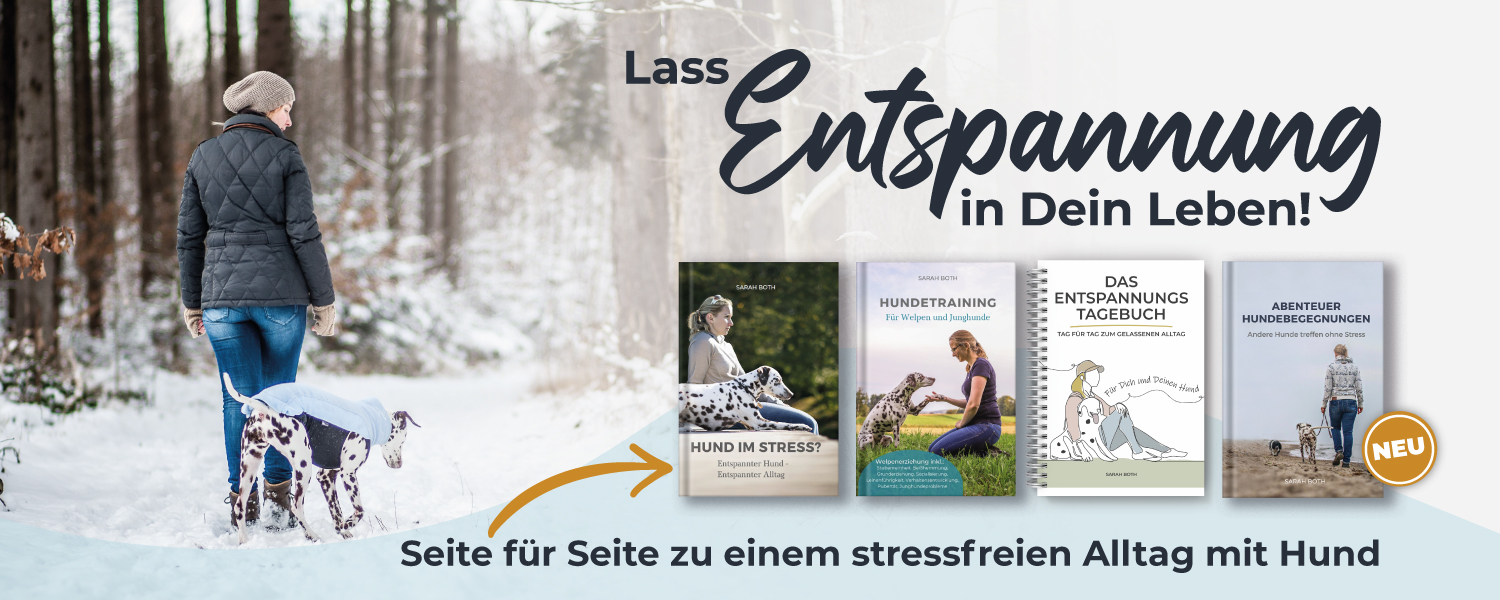 Headerbild-Buchcover-Winter-1