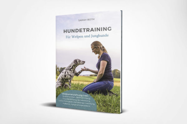Hundetraining für Welpen und Junghunde