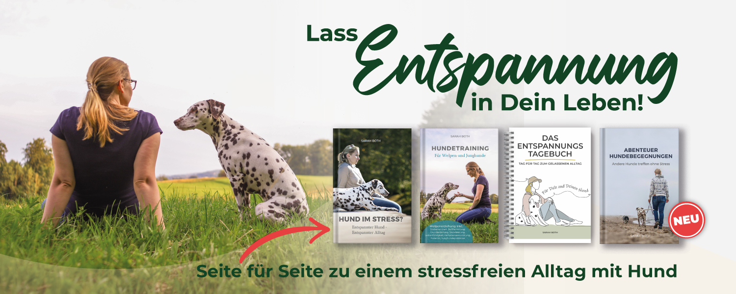 Headerbild-Buchcover-Sommer